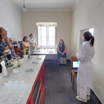 Workshop Sado Nature